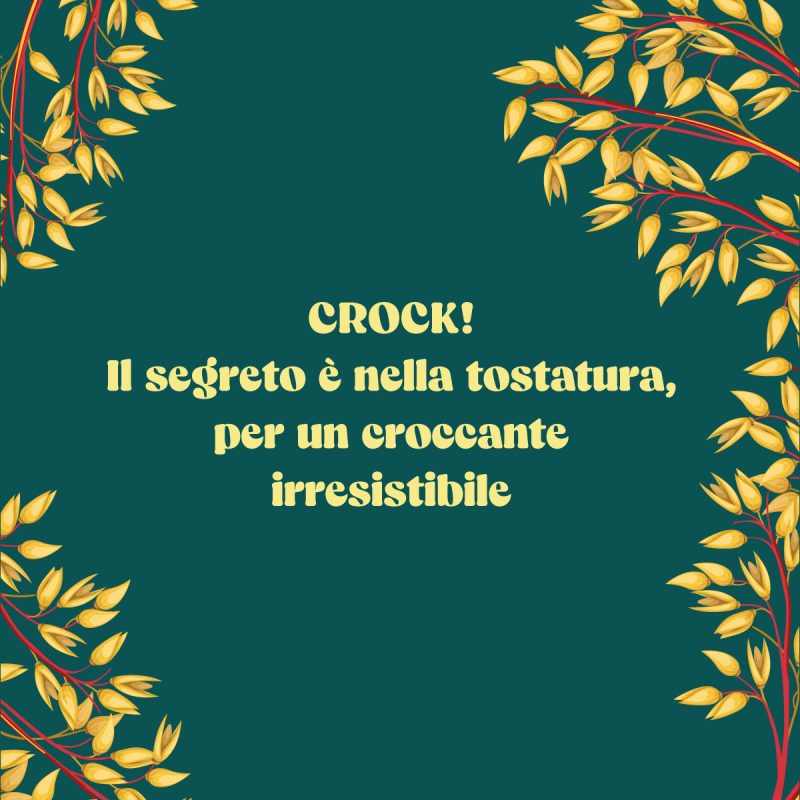 Avena Crock Integrali - Fiocchi di Avena Croccanti Bio - immagine 6