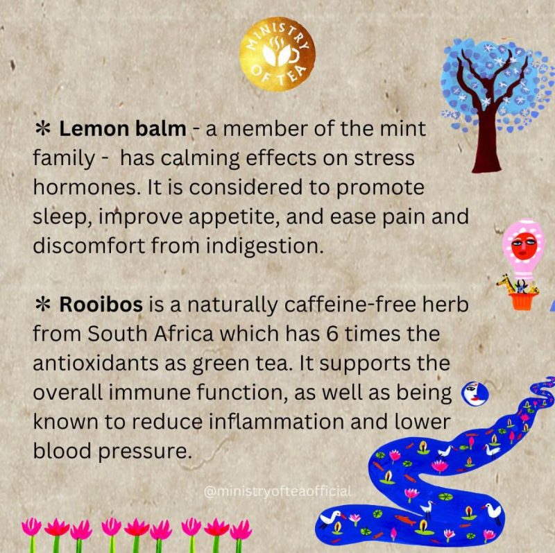 Infuso The Big Sleep BIO Ministry of Tea - immagine 5